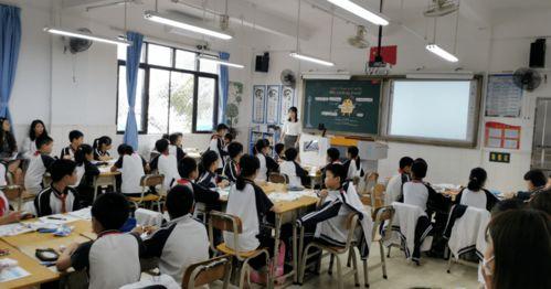 夏天成人上课视频大全