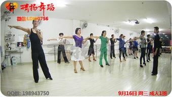 夏天成人上课视频大全