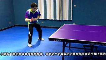成人乒乓球玩法视频大全,成人玩法视频大全精华汇总