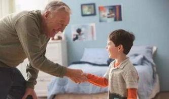 成人教养视频讲解全集,成人教养视频全集精华概述