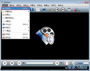 成人sm在线视频播放器,在线视频播放器的私密世界揭秘