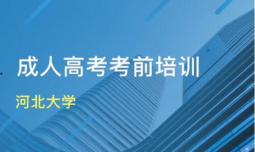 成人培训课程视频大全集,全方位提升自我能力的宝典
