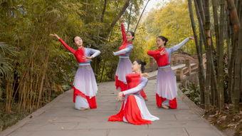 成人唯美大扇舞视频教学,跟随视频学舞，领略古典韵味