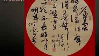 成人草书教学视频大全