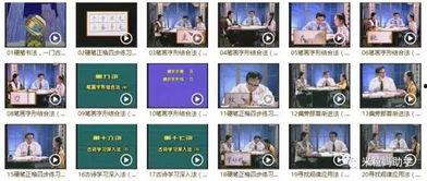 成人有教学视频的字帖吗,跟随教学视频字帖轻松学写