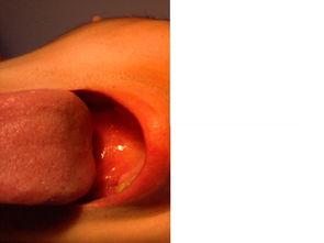 成人洗舌苔视频大全,视频大全全解析