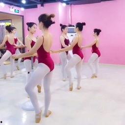 成人舞蹈集训中国舞视频